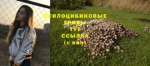 дурь Верея