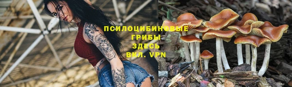 дурь Верея